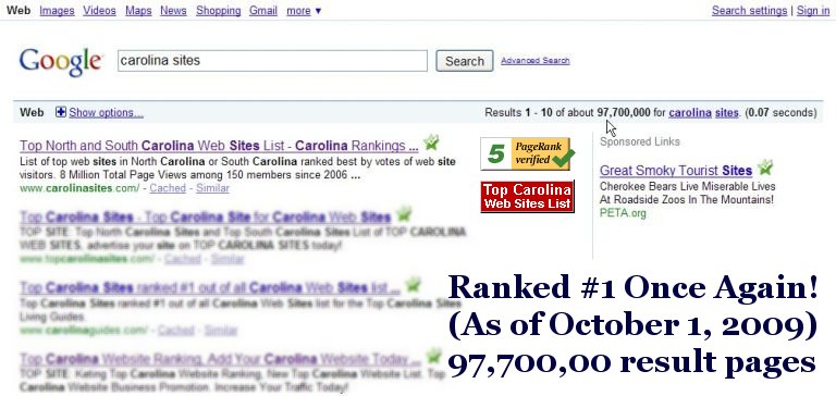 Screen shot proof of Top Carolina Web Sites List #1 Rank.